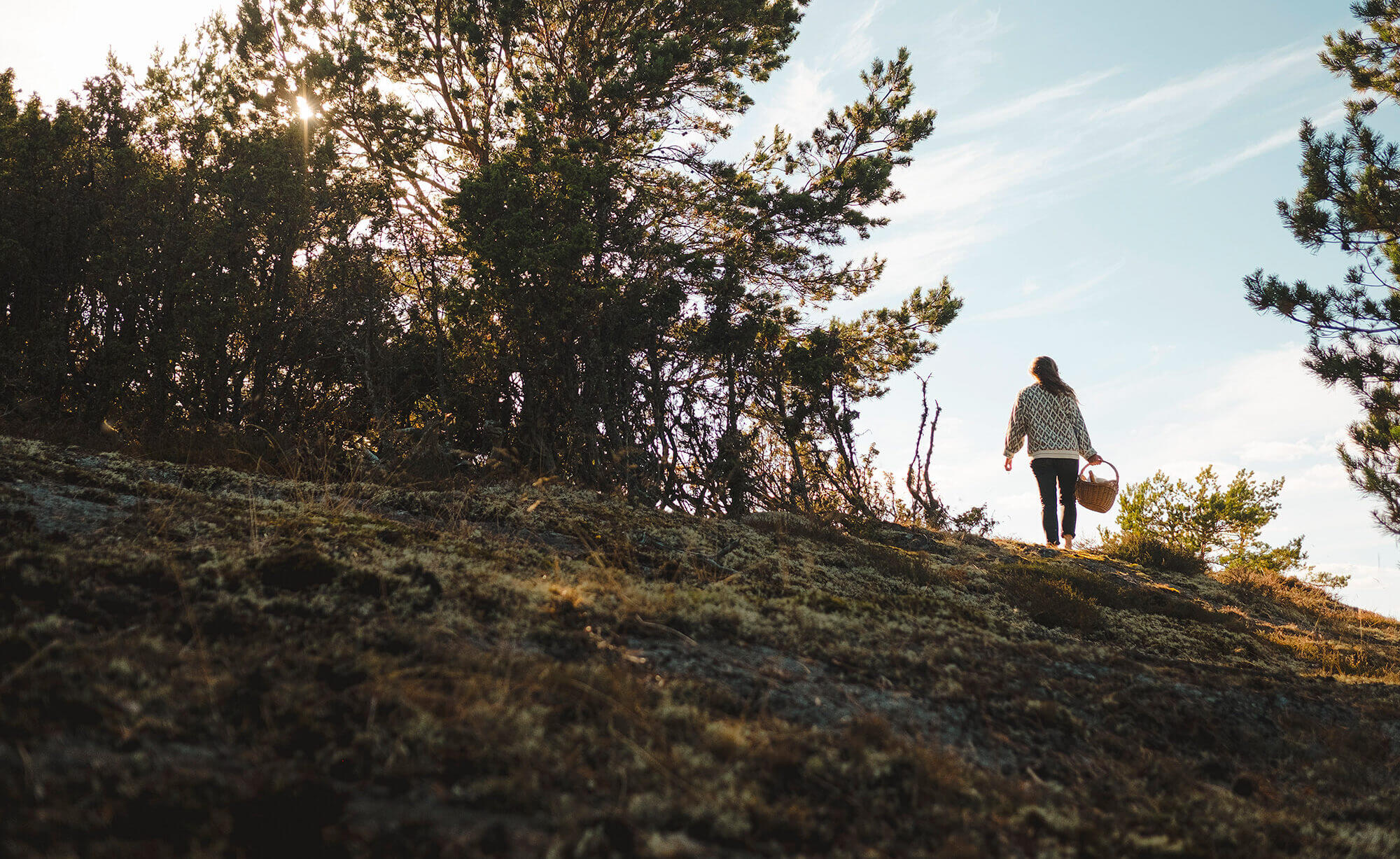 En person som går i naturen i närheten av Malängen Hybridpark