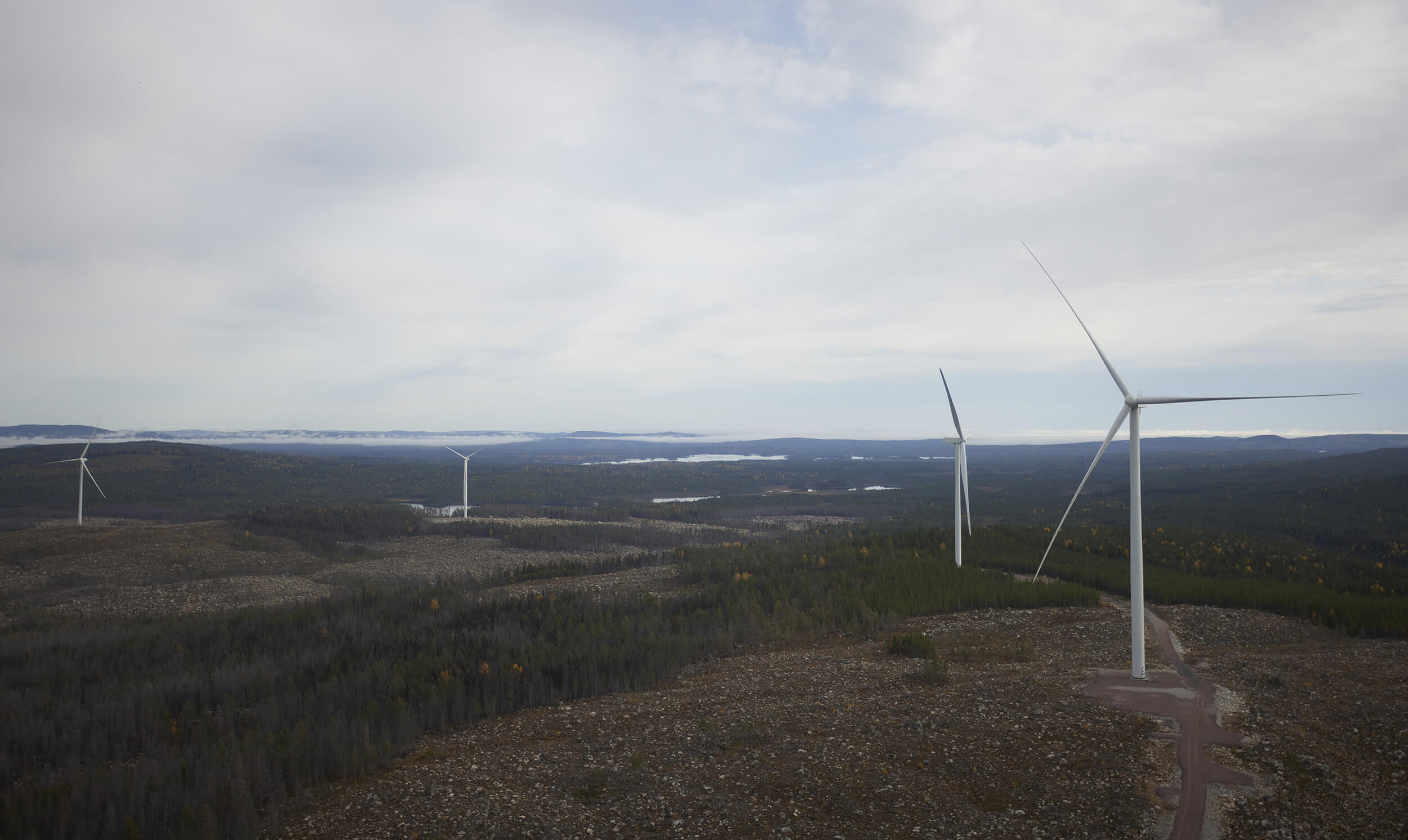 Vindkraftverk i ett skogsområde som illustrerar Malängen Hybridpark